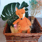 Plushie Foxy Baby Gift Box