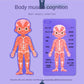Body Structure Puzzle