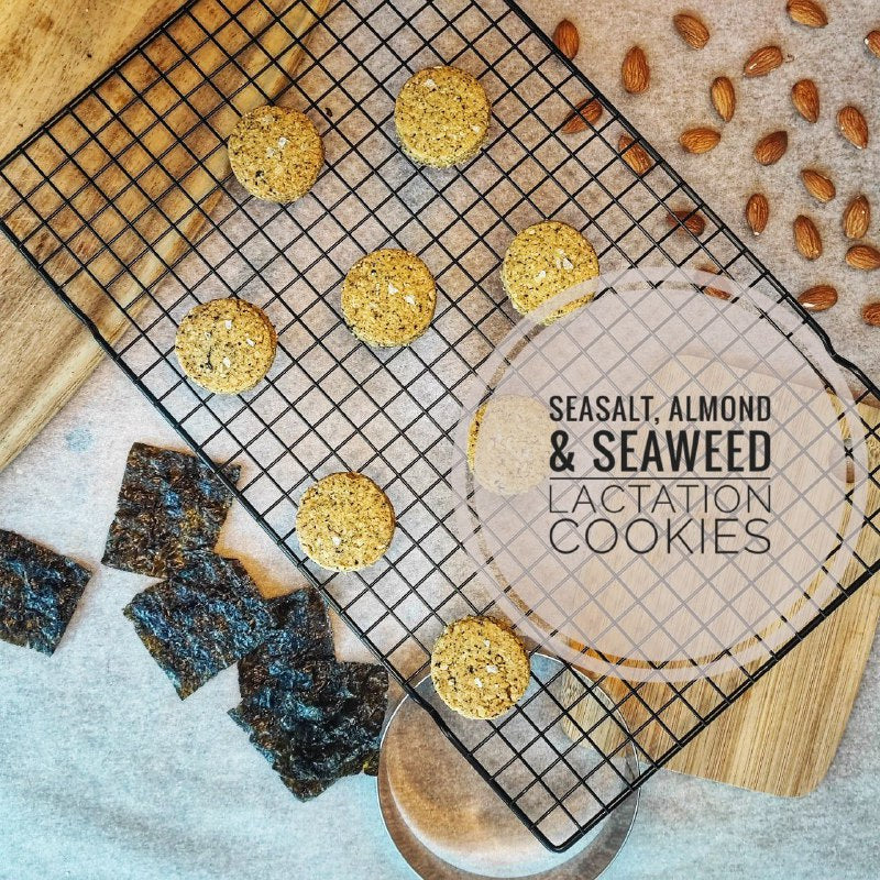 Lactation Cookies [Giant Pack]